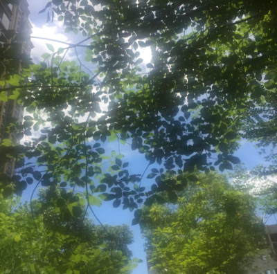 朦胧感背景图 绿色系背景图