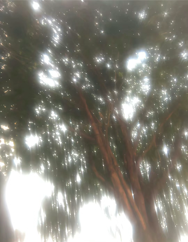 朦胧感背景图 光的背景图