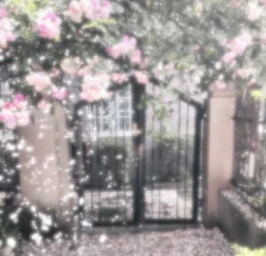 蝶親島、나비뼈“壊れた冬の日”