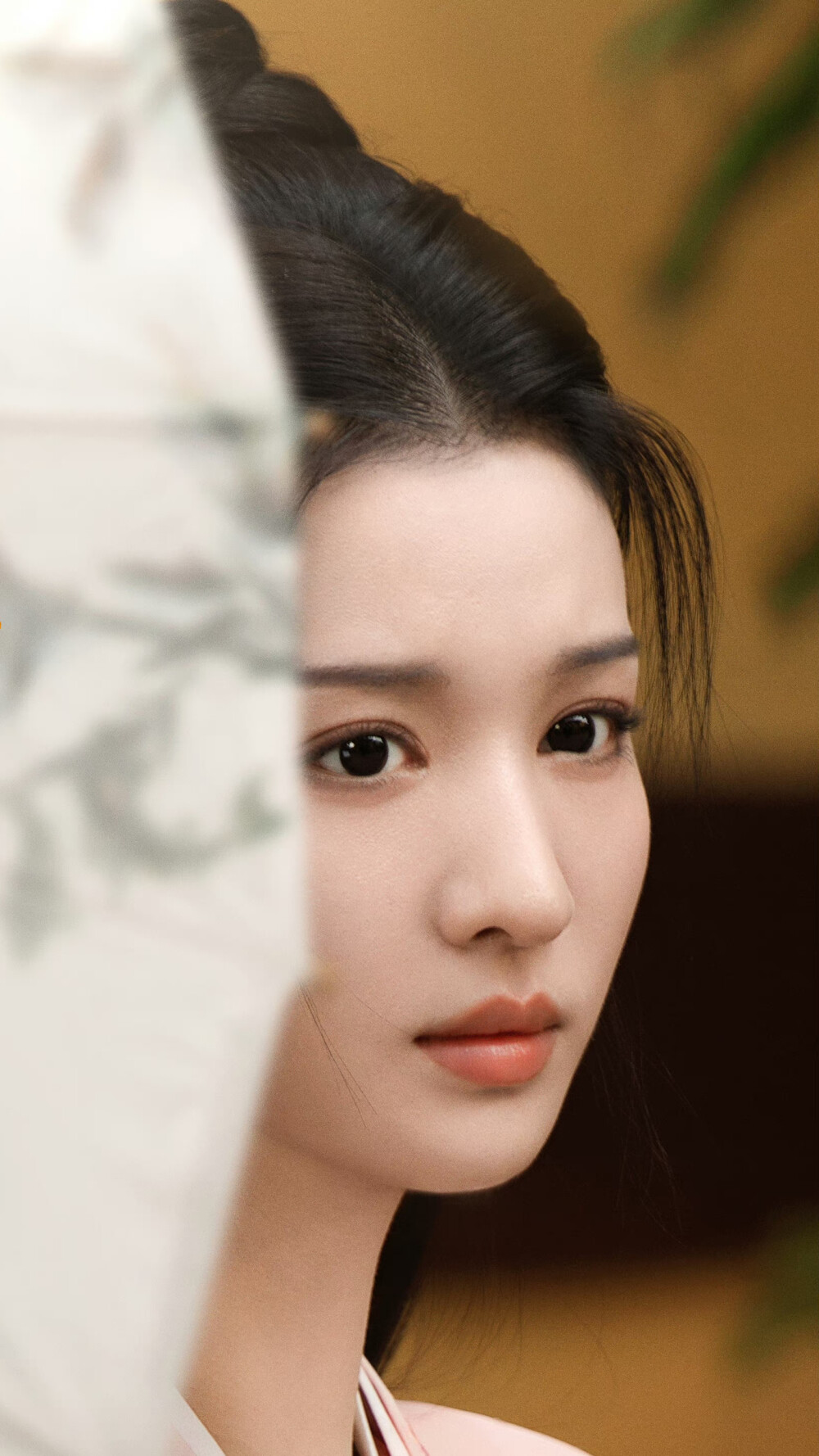 柳舟记 柳眠棠 王楚然