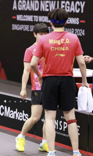 莎头
王楚钦 孙颖莎