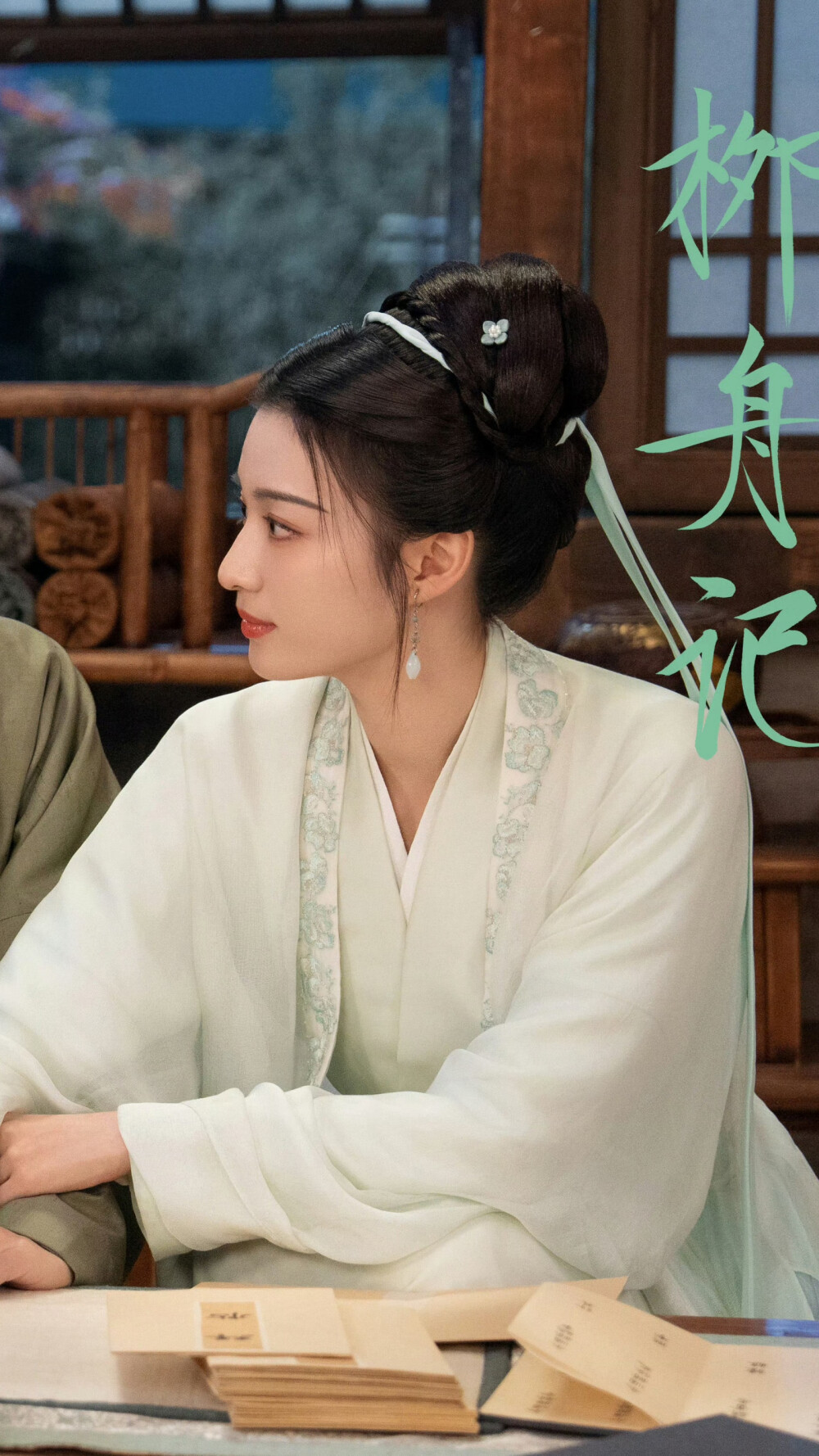 柳舟记 柳眠棠 王楚然