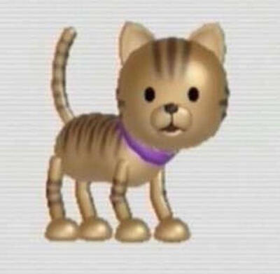 怪