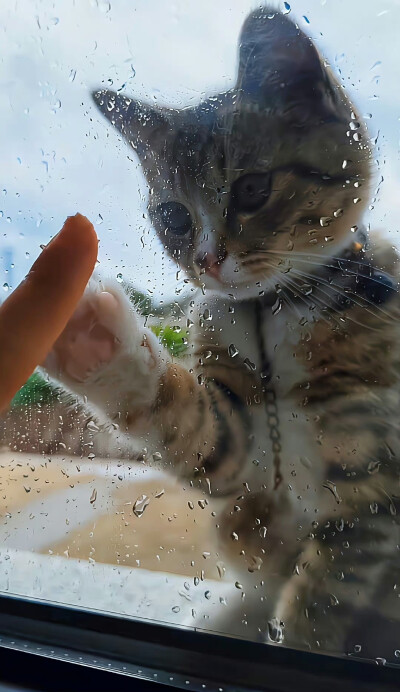 心动小咪ฅ ̳͒•ˑ̫• ̳͒ฅ
#小清新壁纸#