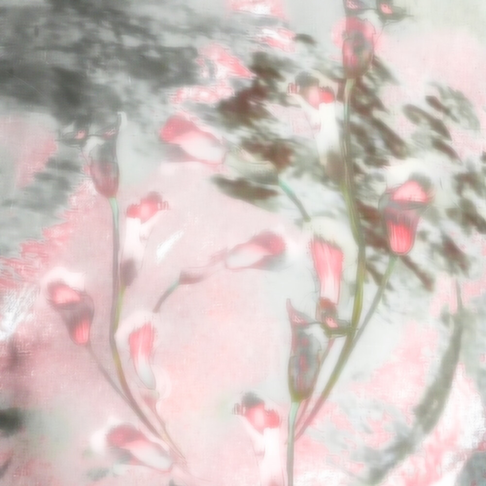 渺小如飞萤 亦如存放于你口袋深处 去年七月我们无意捡到的那块鹅卵石 我们几乎都想不起来