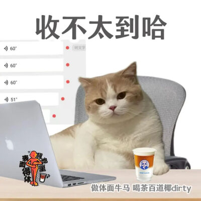 猫猫表情包