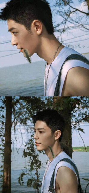 肖战  「肖烟四起，为战而来」