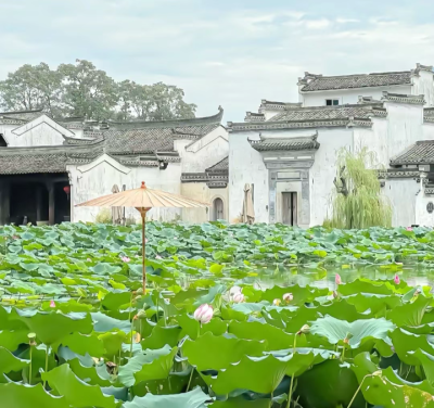 江南背景图 古风背景图