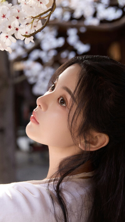 墨雨云间 姜梨 杨超越