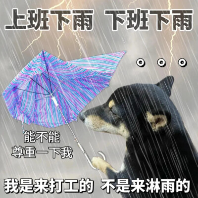 上班下雨