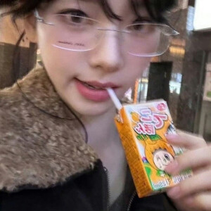 柳智敏