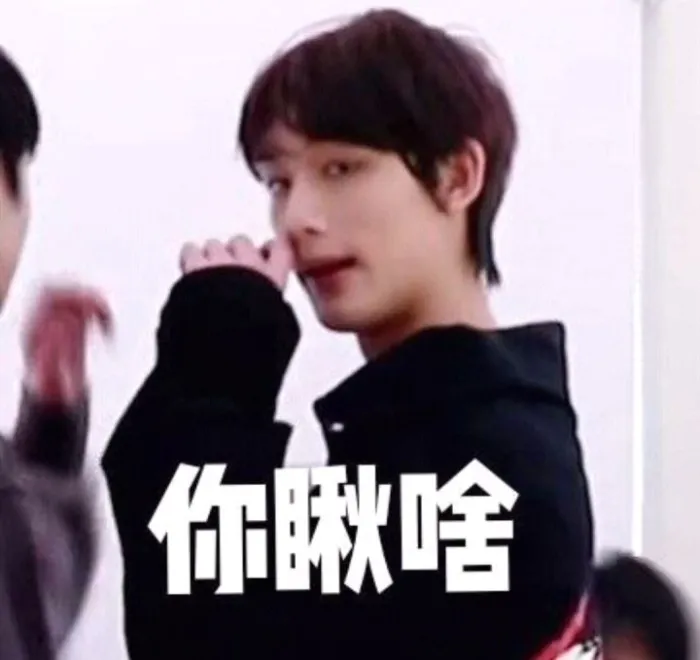 时代少年团表情包