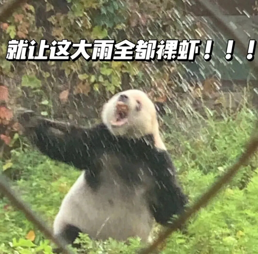 上班下雨