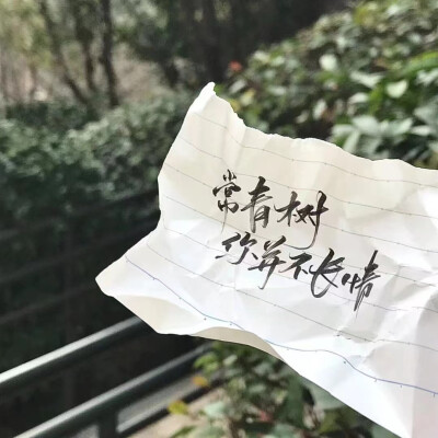 夏日绝笔绽放的诗