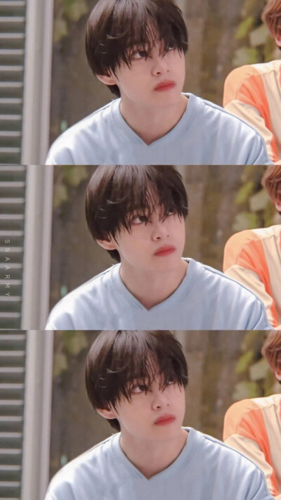 BTS V 金泰亨