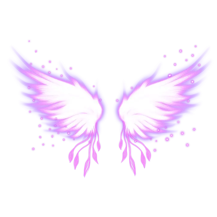 翅膀素材
