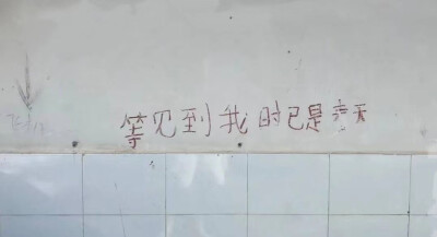 文字墙