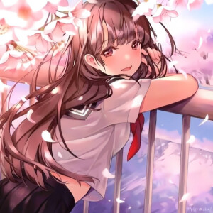 默认专辑