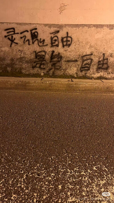 文字墙