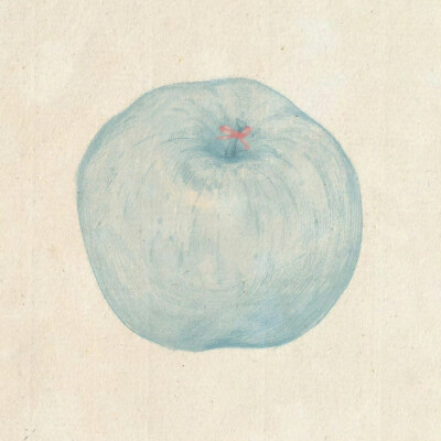 Blue apple
#治愈系插画分享#