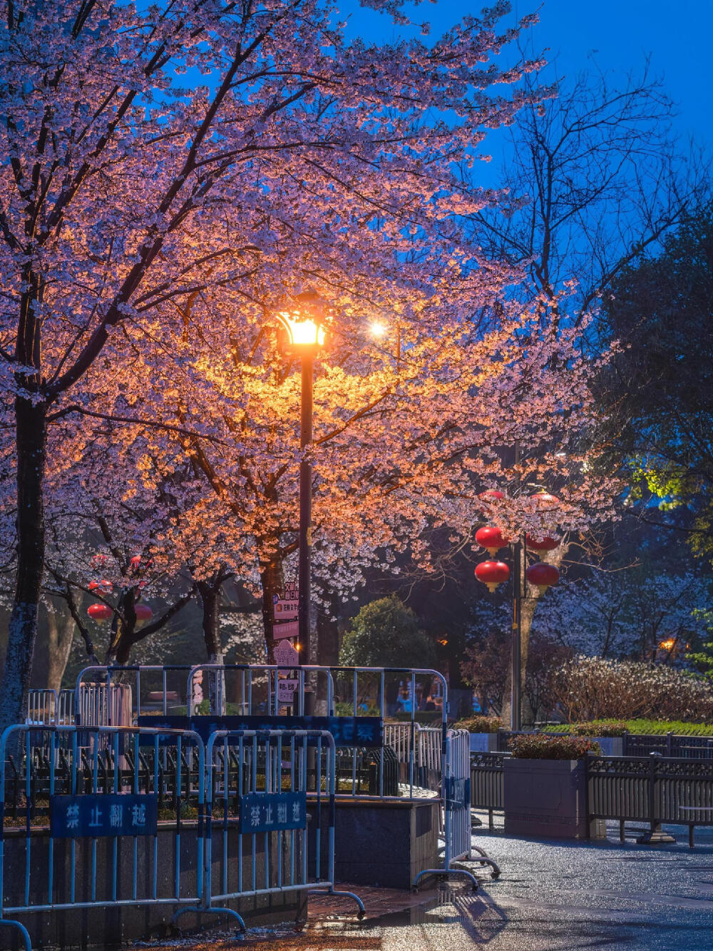 Blue hour 蓝调时刻
#朋友圈背景图#