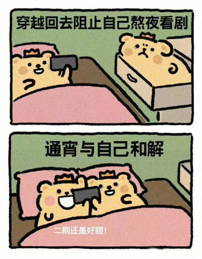 小熊虫