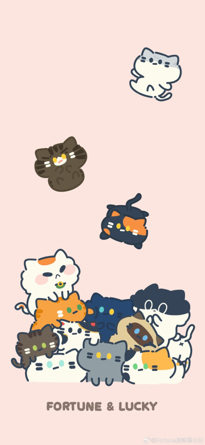 招财猫公社