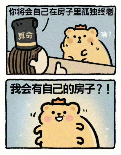 小熊虫