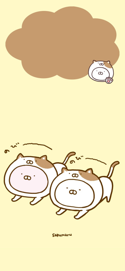 b岛主