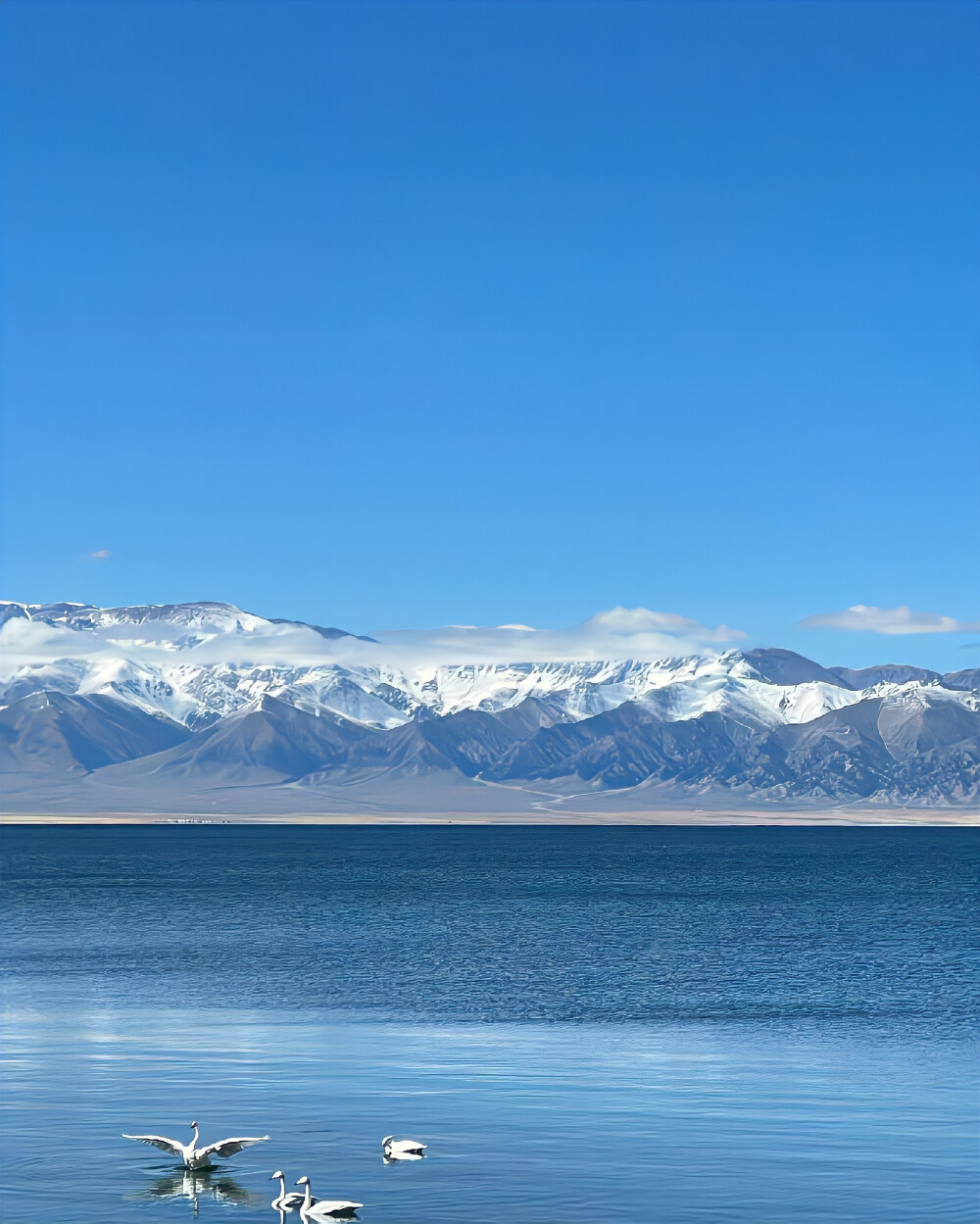 治愈系背景图