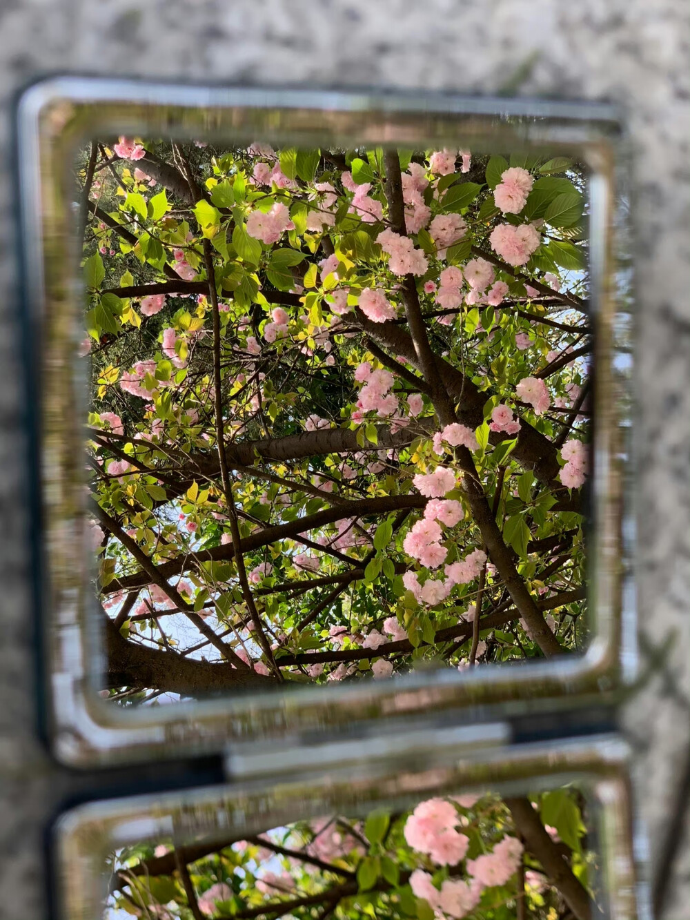 风景壁纸 背景图