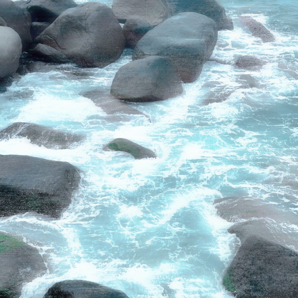 你轮回的印记，落在我眉宇