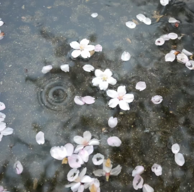 雨天背景图