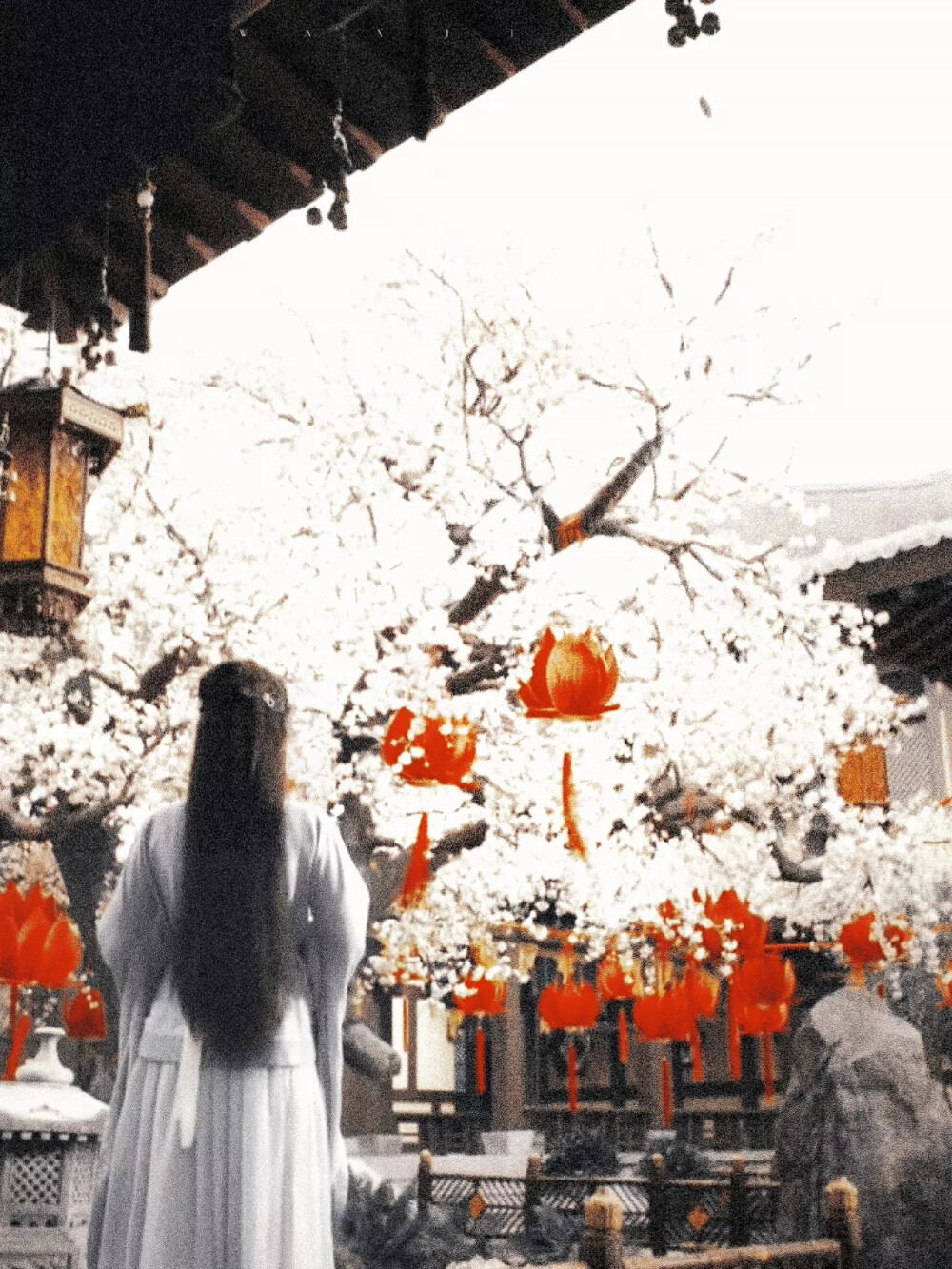 杨紫 香蜜沉沉烬如霜