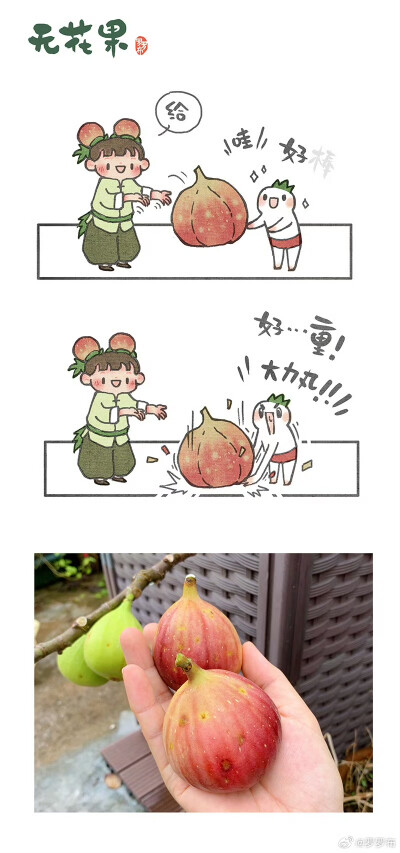 无花果