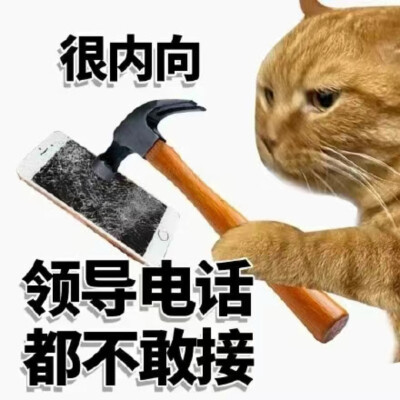 很内向系列表情包