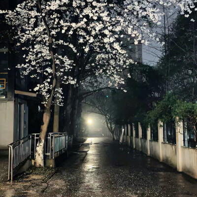 雨天背景图