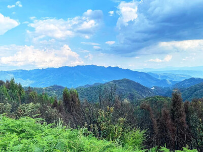 
中国凉都-六盘水
野玉海景区
山高路远，看风景，也找自己
见人间，眼无是非
望山涧，心旷神怡
趁兴而行，或南或北