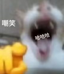 猴子