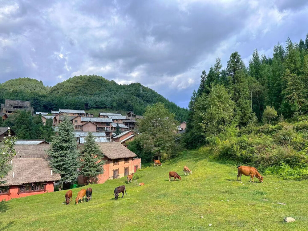 
中国凉都-六盘水
野玉海景区
山高路远，看风景，也找自己
见人间，眼无是非
望山涧，心旷神怡
趁兴而行，或南或北