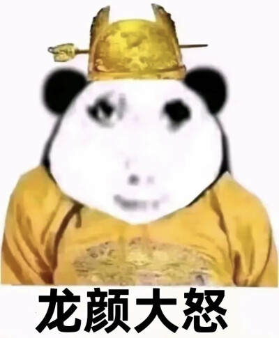 偷吃胖猫外卖被打 （后附忧郁男头）