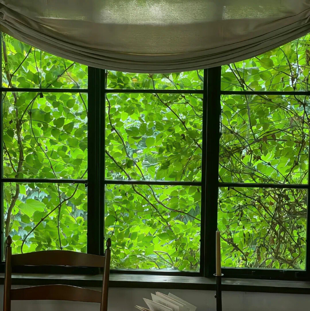 绿色系背景图 生命力背景图