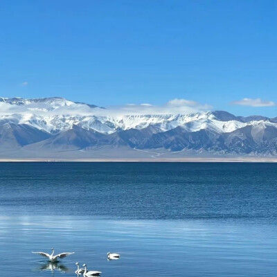 头像小记/朋友圈套图