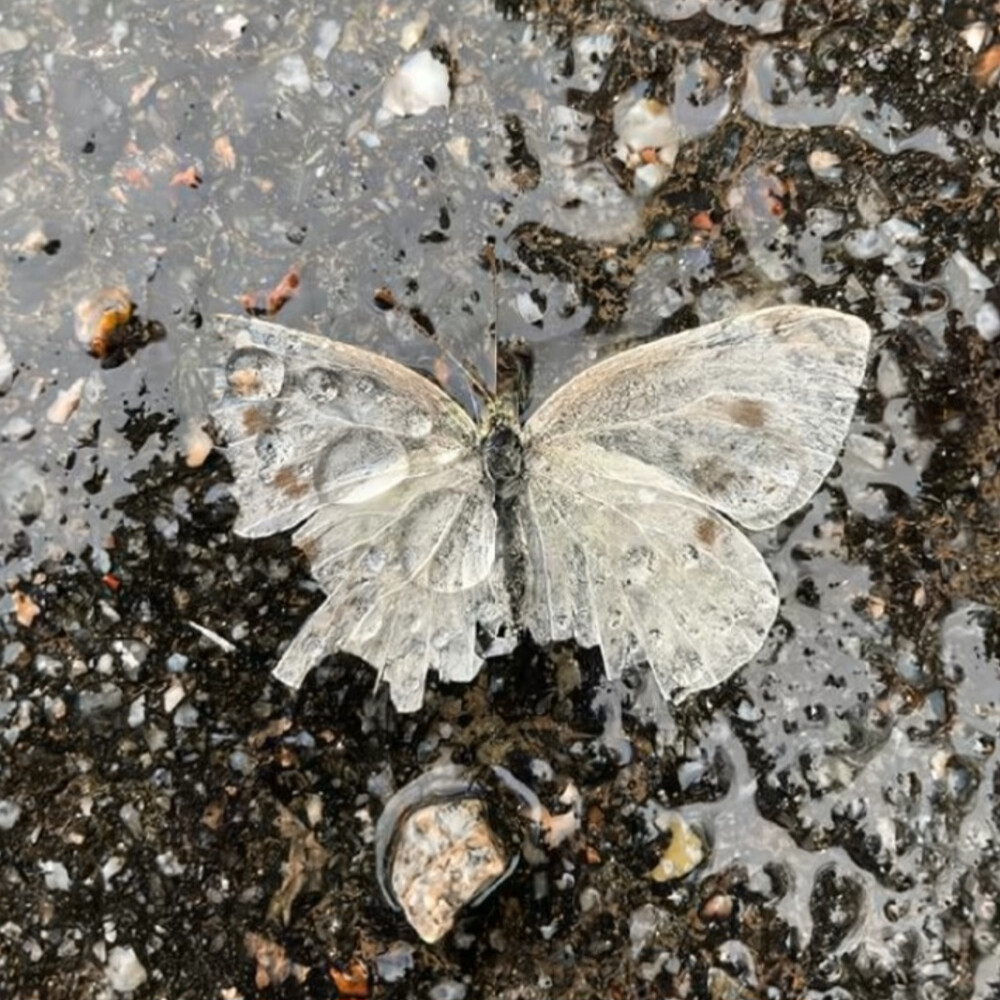 我心里有场雨是为你下的