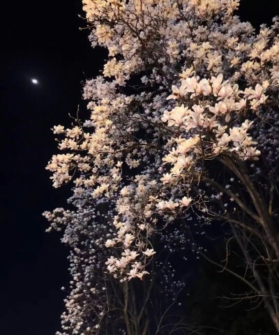 风景图