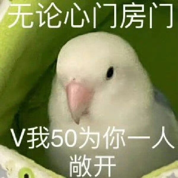 表情包