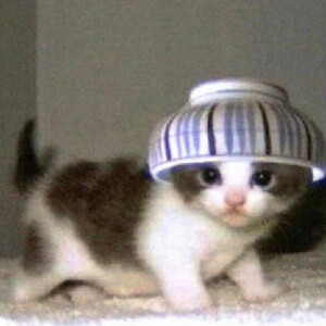 莓头脑和布高兴๑╹ω╹๑ 