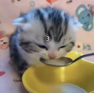 莓头脑和布高兴๑╹ω╹๑ 