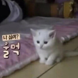 莓头脑和布高兴๑╹ω╹๑ 