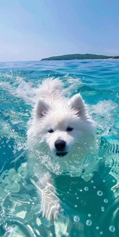 纯色壁纸